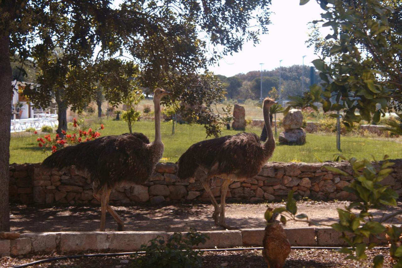 Tenuta Ferraro Gallipoli Eksteriør billede