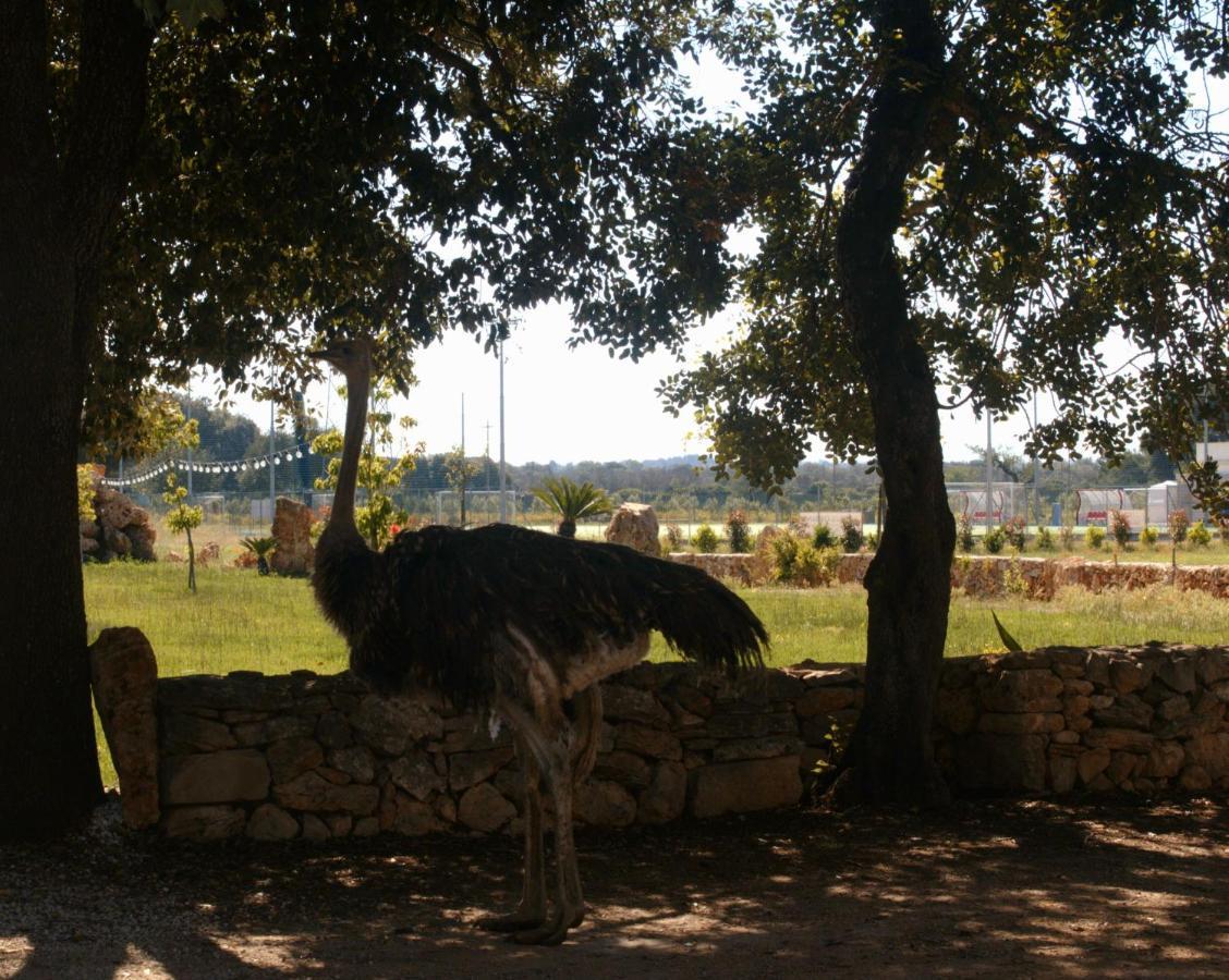 Tenuta Ferraro Gallipoli Eksteriør billede