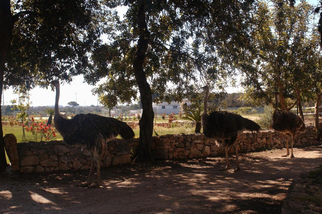 Tenuta Ferraro Gallipoli Eksteriør billede