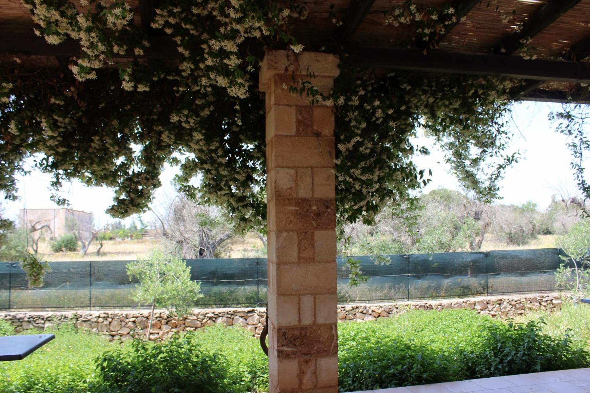 Tenuta Ferraro Gallipoli Eksteriør billede